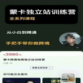 蒙卡51节视频+解答